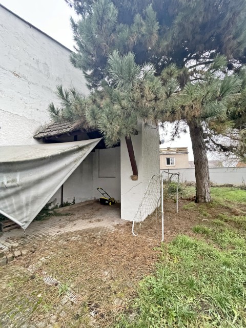 IMG 0988 (Klein) Grundst�ck Herxheim bei Landau