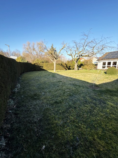 Gartenansicht (Klein) Grundst�ck Landau