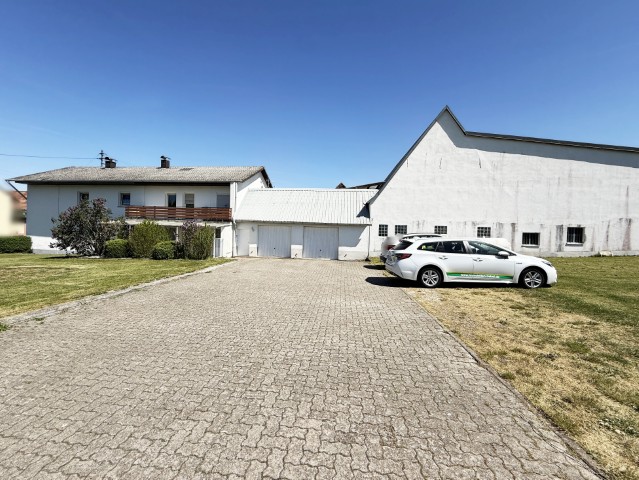 Seitliche Gartenansicht (Klein) Hergersweiler Haus Hergersweiler: Haus mit massiv gemauerter Halle (ca. 420m�) auf �ber 2600m� Grundst�cksfl�che