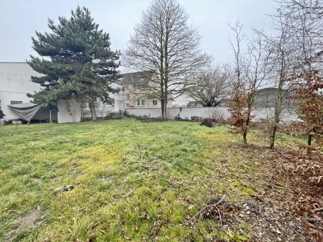 IMG 0986 (Klein) Grundst�ck Herxheim bei Landau