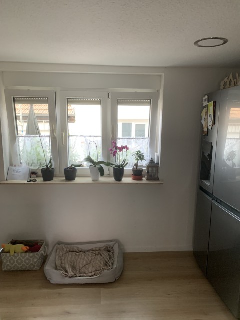 IMG 3001 (Klein) Kopie Mehrfamilienhaus Rohrbach