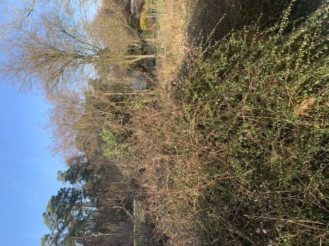 Garten (Klein) Haus Berg