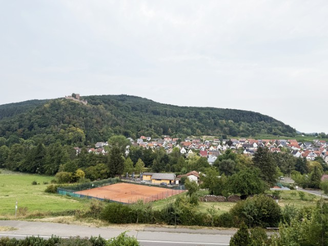 Ausblick Fenster (Klein) Wohnung Klingenm�nster