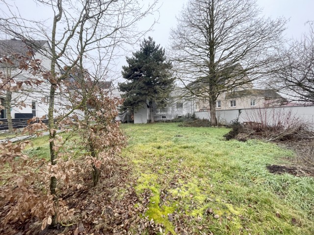 IMG 0985 (Klein) Grundst�ck Herxheim bei Landau