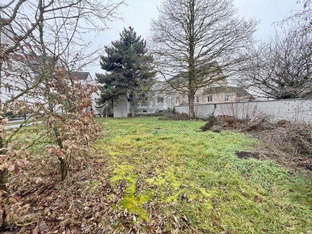 IMG 0989 (Klein) Grundst�ck Herxheim bei Landau